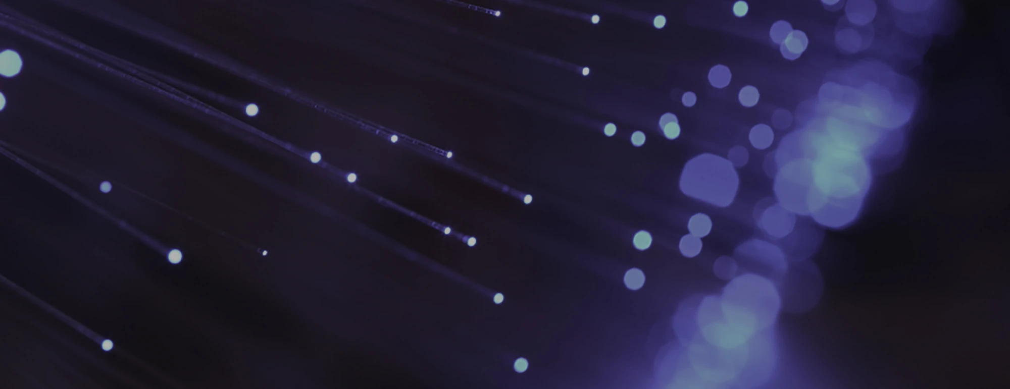 Fiber Optic Background